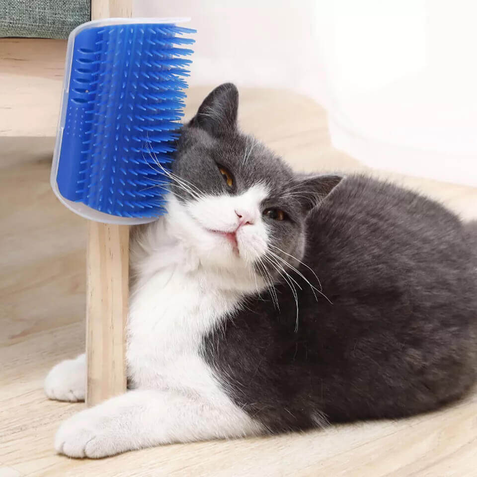 Cat Self Groomer Comb